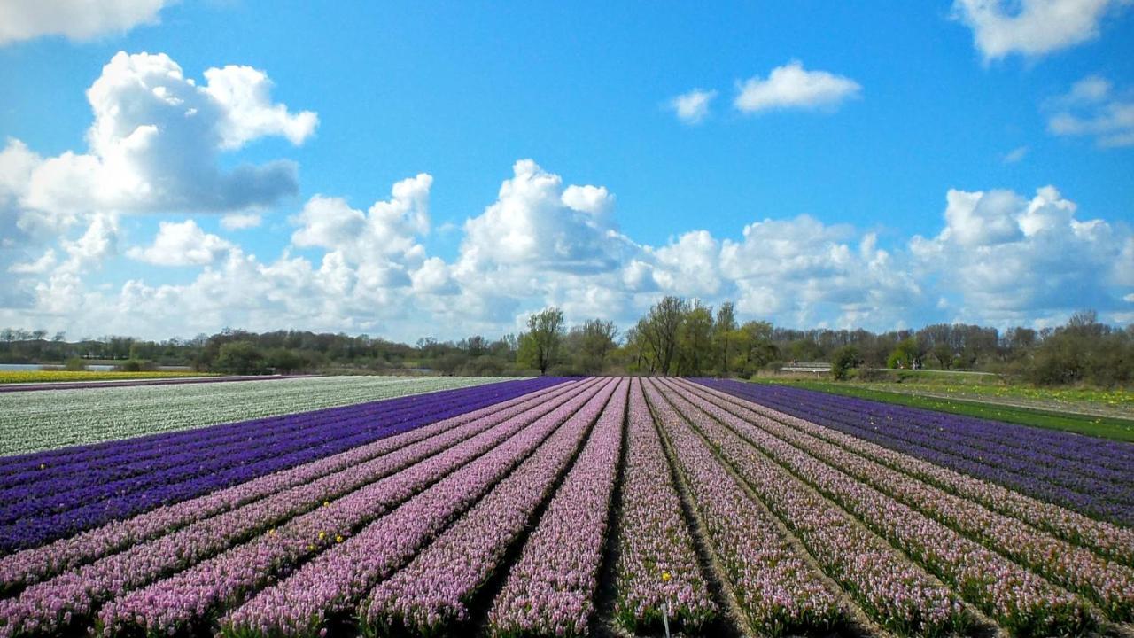 B&B Het Ruime Sop Wassenaar Exterior photo